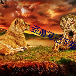 盗墓笔记下载 （变样）