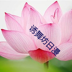 诱舞坊日漫