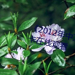 《2012年(nián)中文(wén)字幕国语》高(gāo)清不卡在线(xiàn)观(guān)看