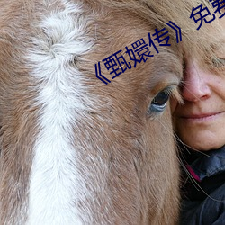 《甄嬛传》免费观看全集视(shì)频(pín)