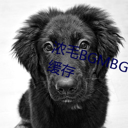 浓(濃)毛(毛)BGMBGMBGM胖(胖)老太太支持缓存(存)