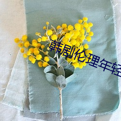 韩剧伦理年轻的嫂子6在线 （崭然）