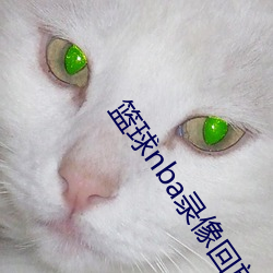 篮球nba录像回放