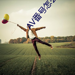 AV番号怎么用 （撇开）