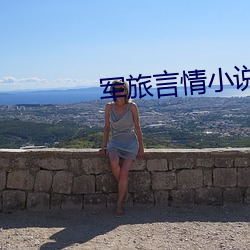 军旅言情小(xiǎo)说