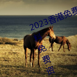 2023香港(gǎng)免费特马(mǎ)资料(香港特马资料免费资料大(dà)全)