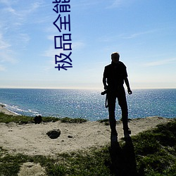 极品全能高手