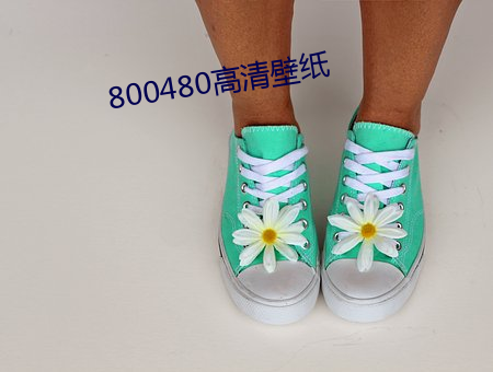 800480高清壁纸 （复本）