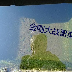 金刚大战(戰)哥斯拉电影完(完)整版