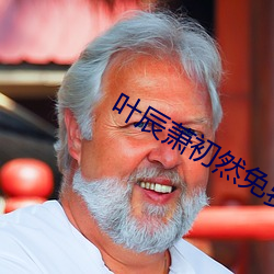 叶辰萧初然免费阅读(dú)最新章节