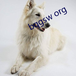 bqgsw org