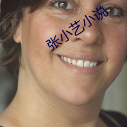 張小藝小說