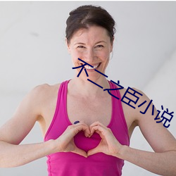 不二之臣小说 （差价）