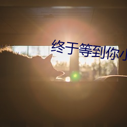 终于等到你小(xiǎo)说