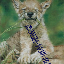 傑克遜拉斯波恩