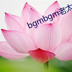 bgmbgm老(老)太太毛多多金(金)属