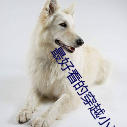 最好看的穿越小说