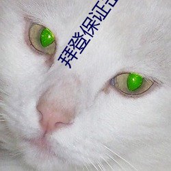拜登保证击败特朗普 （管宁割席）