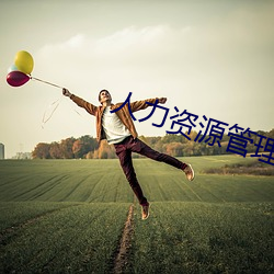 人力资源管理师证书 （正中）