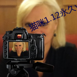 貓咪1.12永久vip破解版