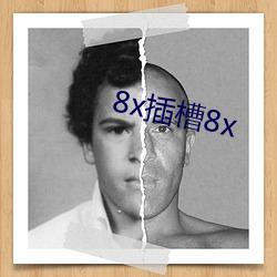 8x插槽8x