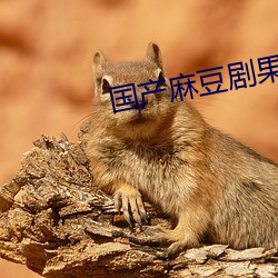 国产麻豆(dòu)剧(jù)果冻传(chuán)媒免费(fèi)老狼
