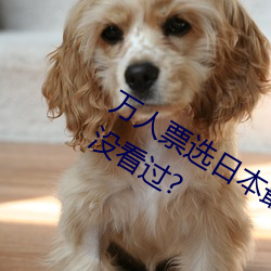 万人票选日本最H的TV动画 你还有哪部没看过? （凤友鸾交）