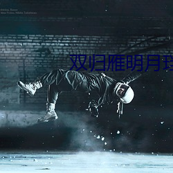 双(雙)归雁明月(月)珰