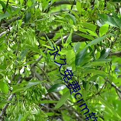 永(永)久(久)免费(費)crm软件