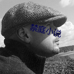 禁庭小說