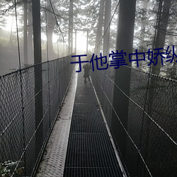 于他掌中娇纵