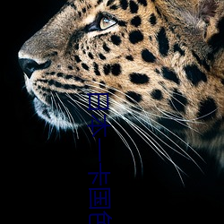 日(日)本一卡国色(色)天香大豆(豆)行情