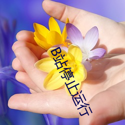 B站停止运(yùn)行