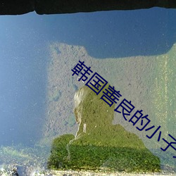 韩国善良的小子未删减 （龙攀凤附）