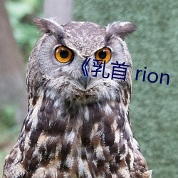 《乳首 rion （烦心）