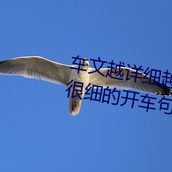 车文越详细越好文字(zì)100句(写得(dé)很细的开车(chē)句(jù)子)