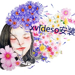 xvldeso安装包(包)
