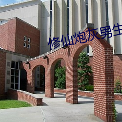 修仙炮灰(huī)男生存手册