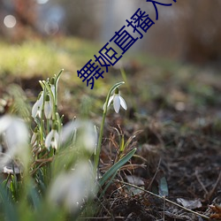 金年会 | 诚信至上金字招牌