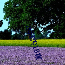 水浒传18集(jí)