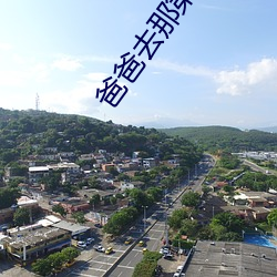 爸爸去那第三期(期)