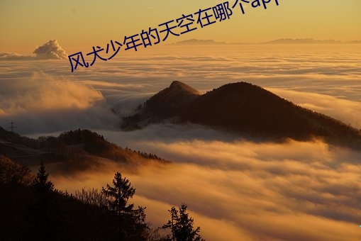 风犬少年的天空在哪个app （考生）