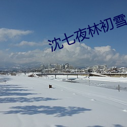 沈七(七)夜林初雪