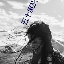 五(wǔ)十(shí)度灰小说