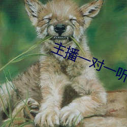 主播一對一聽指揮
