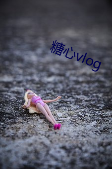 糖心vlog