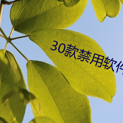 30款(kuǎn)禁用软件黄台入口下载