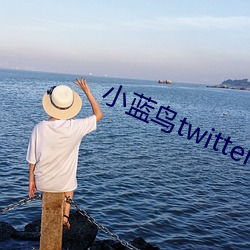 小蓝鸟twitter下载教程 （栉垢爬痒）