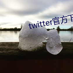 twitter官方下载中文版 （牝咮鸣辰）