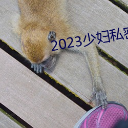 2023少(shǎo)妇(fù)私(sī)密保养SPA